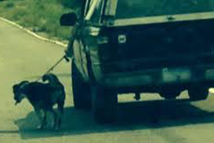 ___4137534___https:______static.pulse.com.gh___webservice___escenic___binary___4137534___2015___9___4___13___imgres