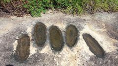 Footprints