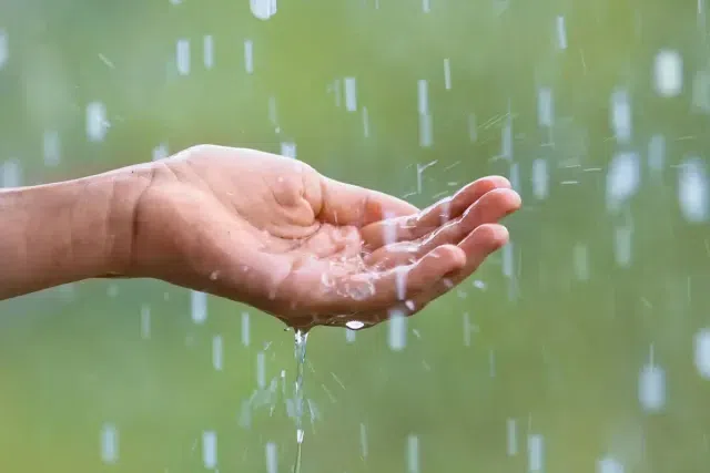 Some people drink rainwater [DNPIndia]