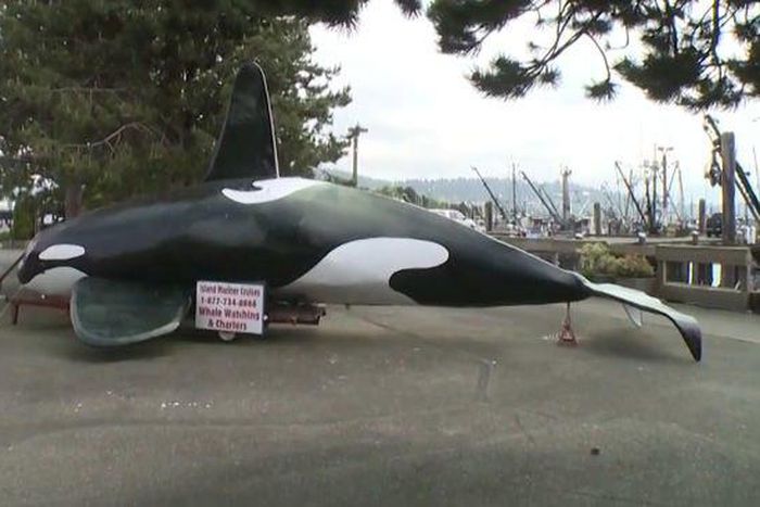 It was deployed to scare off Oregon sea lions