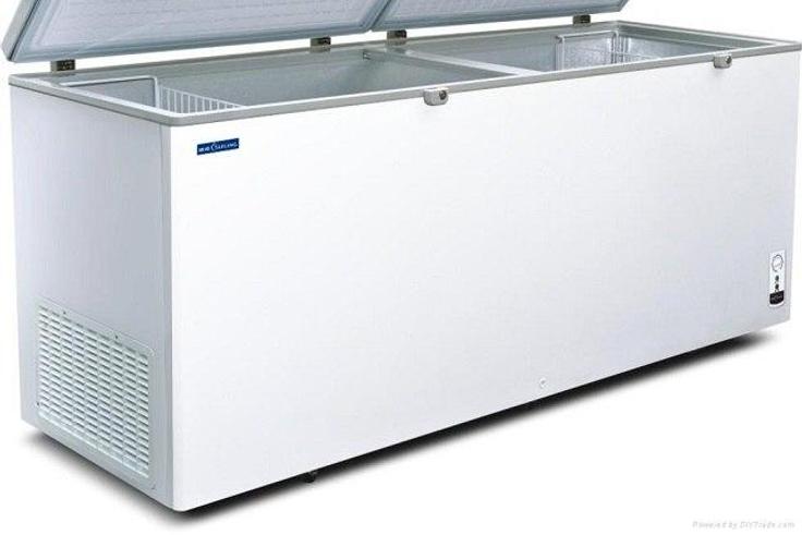 Deep Freezer of death