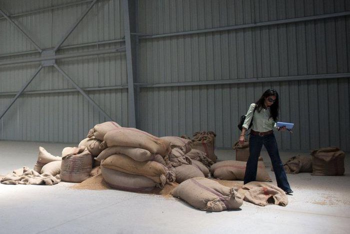 A woman walks near sacks filled with wheat in the inaugural warehouse of Egyptâ€™s new nationwide wheat storage system, designed by U.S. based Blumberg Grains, in Alexandria, Egypt, July 7, 2015. REUTERS/Shadi Bushra