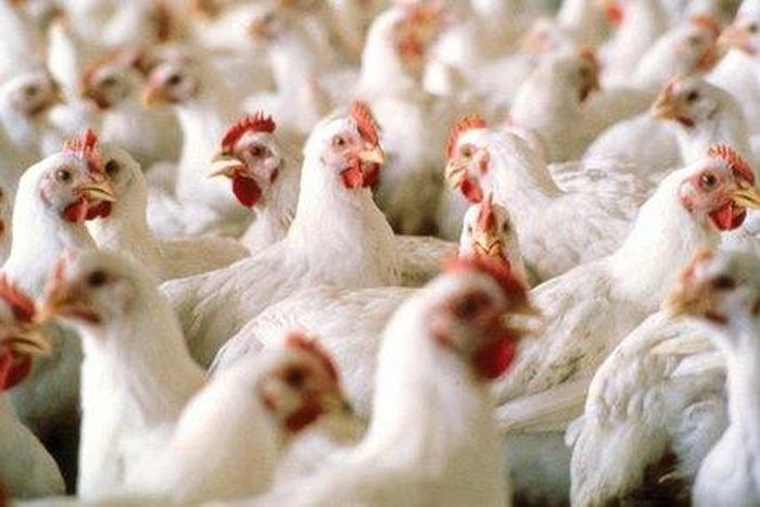 ___3976285___https:______static.pulse.com.gh___webservice___escenic___binary___3976285___2015___7___15___14___Screen-Shot-2015-04-29-at-3.18.43-PM-429x285