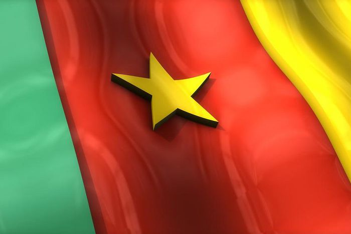 Cameroon Flag.