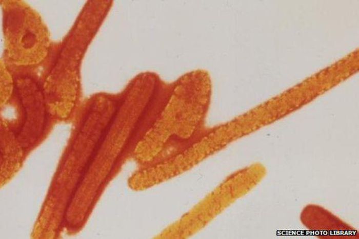 ___3692383___https:______static.pulse.com.gh___webservice___escenic___binary___3692383___2015___4___23___17____82500772_82500771