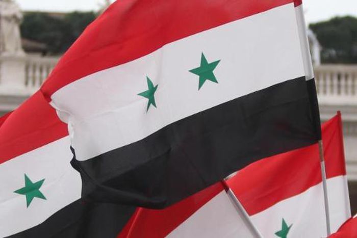 Syrian government releases prominent activist