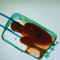 Moroccan dies trying to reach Spain in suitcase