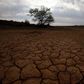 Cracked earth marks a dried-up watering hole on a farm near Aberdeen in the Karoo, in a file photo. REUTERS/Mike Hutchings