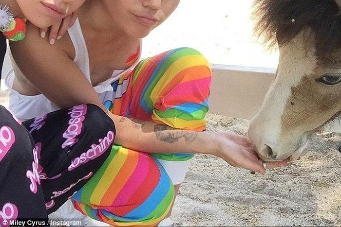 Miley Cyrus and Stella Maxwell dating?