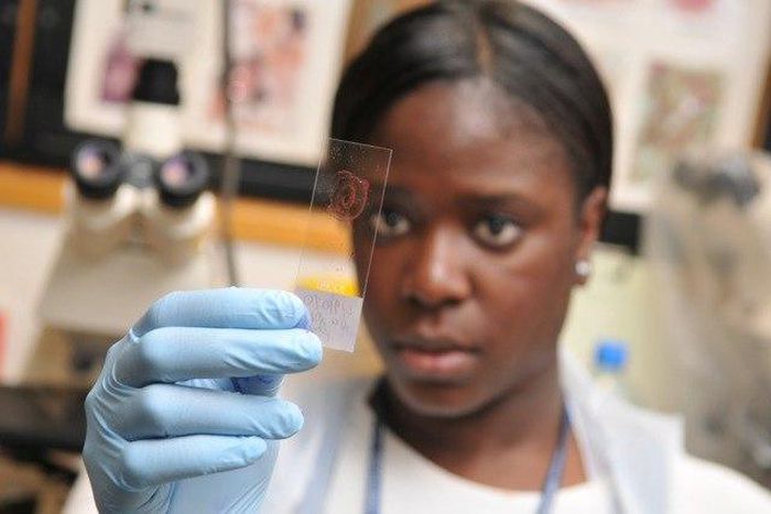 ___3798294___https:______static.pulse.com.gh___webservice___escenic___binary___3798294___2015___5___26___19___DSC_9250