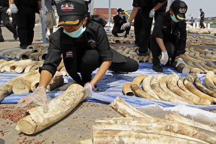 ___3686131___https:______static.pulse.com.gh___webservice___escenic___binary___3686131___2015___4___21___19___8c0d4b19ef614b48b2025b3db84e8a9e_18