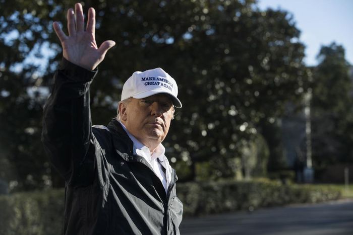 Trump, Along the Border in Texas, Reiterates Demand for Wall