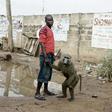 Man-baboon theft combo
