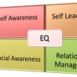 Emotional Intelligence.