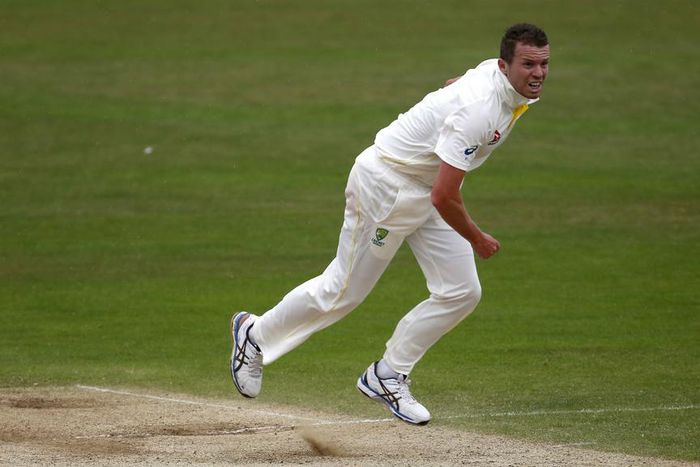 Michael Clarke suggests Peter Siddle could play first Ashes Test