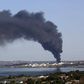 Criminal intent seen in petrochemical fire on French Bastille Day