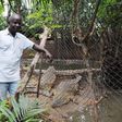 Albert Ngendera makes an applaudable investment to ensure crocs are protected from Burundi hunters. - Iwacu