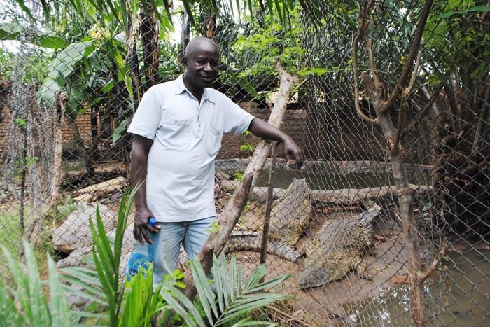 Albert Ngendera makes an applaudable investment to ensure crocs are protected from Burundi hunters. - Iwacu