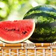 ___3794240___https:______static.pulse.com.gh___webservice___escenic___binary___3794240___2015___5___25___16___n-WATERMELON-large570_1