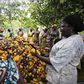 Women from a local cocoa farmers association called BLAYEYA work in a cocoa farm in Djangobo, Niable in eastern Ivory Coast, November 17, 2014.   REUTERS/Thierry Gouegnon