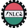 NLC chairman wants minimum wage increased to N50,000 per month