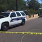 A decapitated woman and mutilated dogs were found in a Phoenix apartment Saturday morning and police.