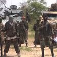 Boko Haram insurgents...