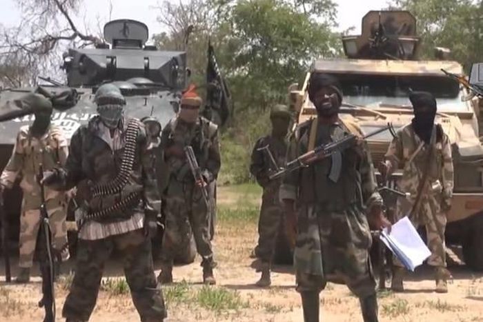 Boko Haram insurgents...
