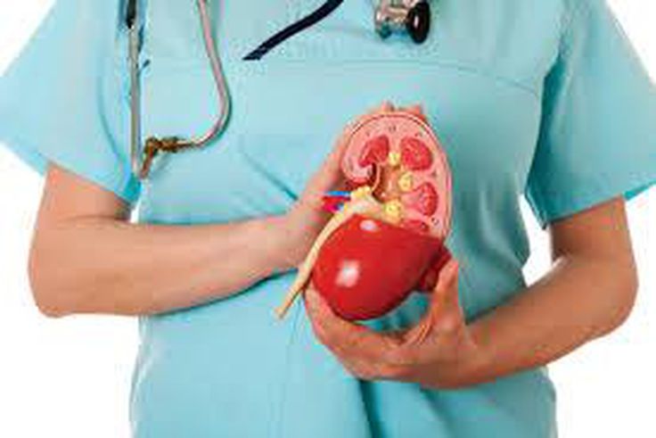 ___3923400___https:______static.pulse.com.gh___webservice___escenic___binary___3923400___2015___6___30___15___images