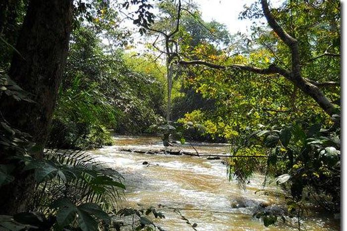 ___3944568___https:______static.pulse.com.gh___webservice___escenic___binary___3944568___2015___7___6___19___Antworten-637