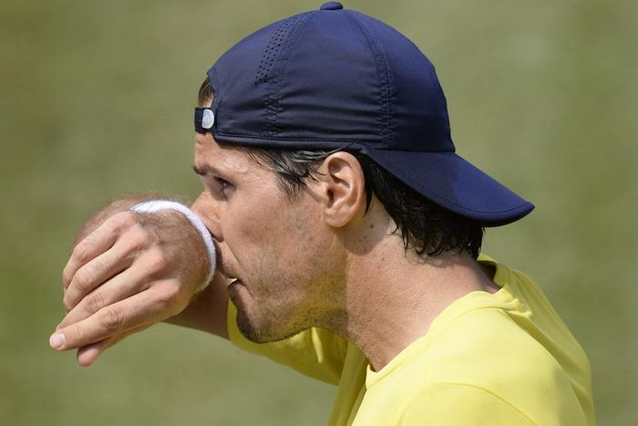 Tommy Haas loses to Donald Young, Marinko Matosevic slump continues at Citi Open