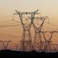 Electricity pylons carry power from Cape Town's Koeberg nuclear power plant July 17, 2009.   REUTERS/Mike Hutchings