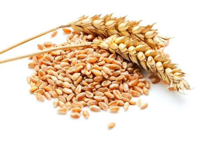 Grains