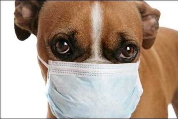 ___3951195___https:______static.pulse.com.gh___webservice___escenic___binary___3951195___2015___7___8___13___eb8086bb6a45620b7a4edcd5bed352a3