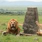 Two African lions lay next to the border mark between Kenya and Tanzania, in a file photo.