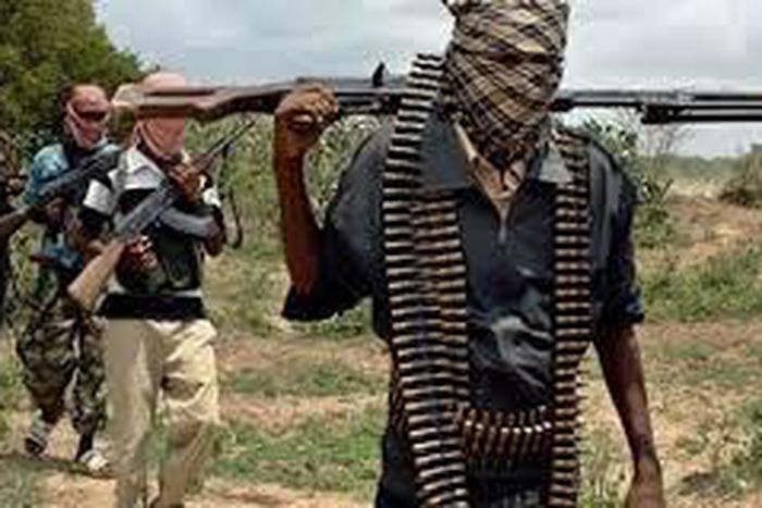At least a dozen killed in suicide attacks in northern Cameroon