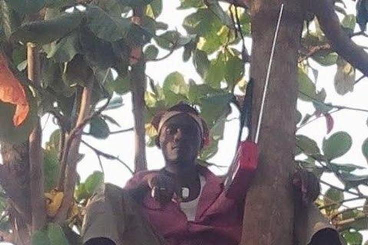 The Tree man, Mallam Kaura
