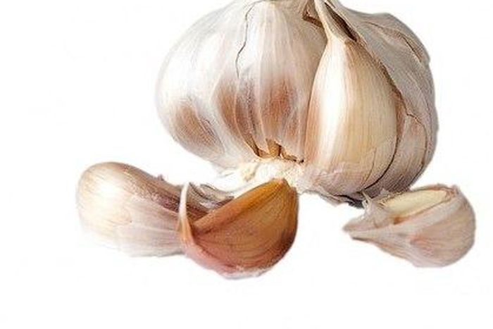 Garlic