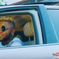 G Druz - Slow feat. Skales