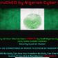 INEC Hacked Website