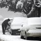 During the prolonged cold snap in Greece rescue services have received dozens of calls-outs to help people trapped in their cars or homes by heavy snowfall