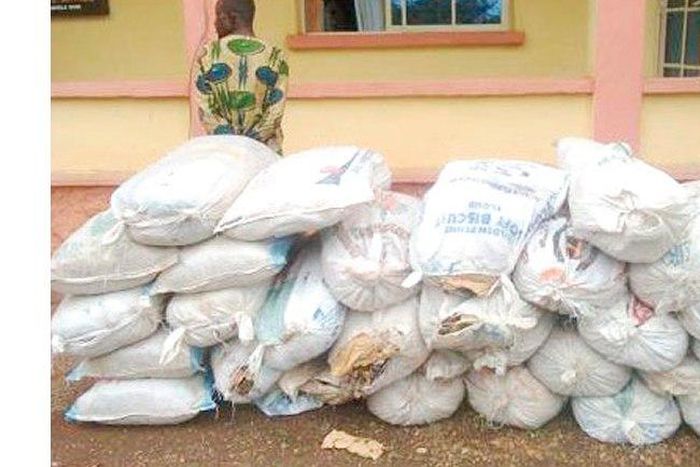 ___3587750___https:______static.pulse.com.gh___webservice___escenic___binary___3587750___2015___3___21___1___Drug+traffickers