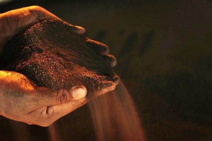 A worker poses with a handful of nickel ore at the nickel mining factory of PT Vale Tbk, near Sorowako, Indonesia's Sulawesi island, January 8, 2014.  REUTERS/Yusuf Ahmad
