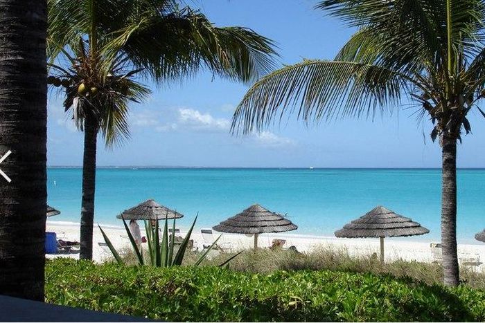 ___3762491___https:______static.pulse.com.gh___webservice___escenic___binary___3762491___2015___5___15___17___Capture