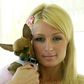 Paris Hilton loses dog, Tinkerbell