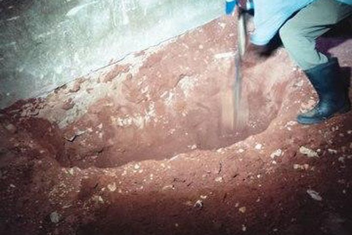 'Grave' found inside classroom at Edo school