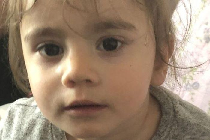 The police in London are interested in learning about the whereabouts of a toddler stolen along with her dad's car. - BBC News