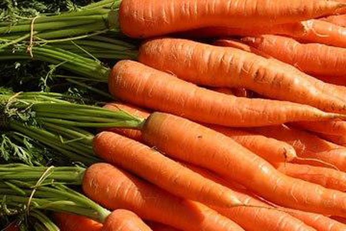Carrots