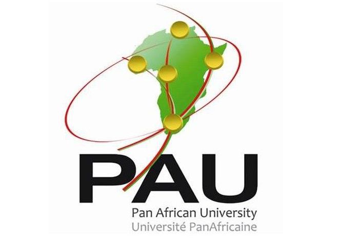 Pan-African University