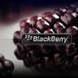 Blackberry Logo.